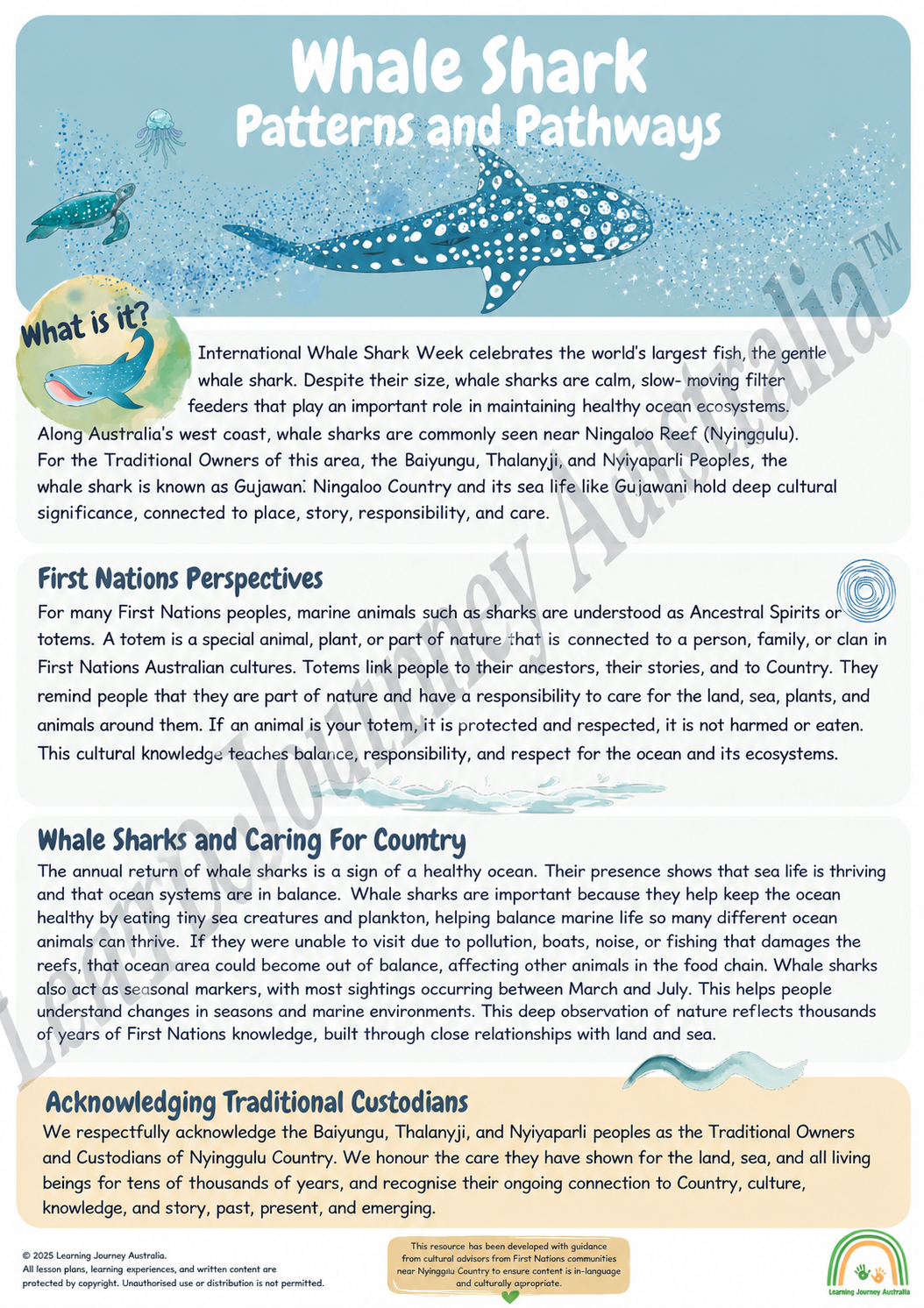 Primary School - Embedding First Nations Perspectives - Whale Shark Patterns and Pathways