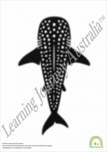 OSHC - Embedding First Nations Perspectives - Whale Shark Patterns and Pathways