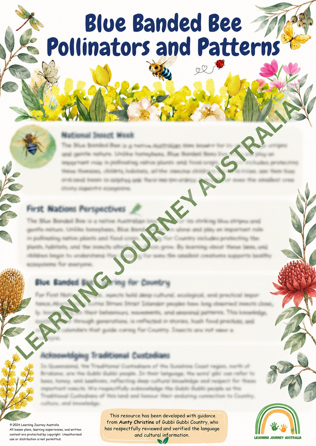 Early Learning - Embedding First Nations Perspectives - Blue Banded Bee Pollinators and Patterns