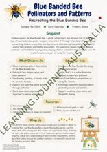 Early Learning - Embedding First Nations Perspectives - Blue Banded Bee Pollinators and Patterns